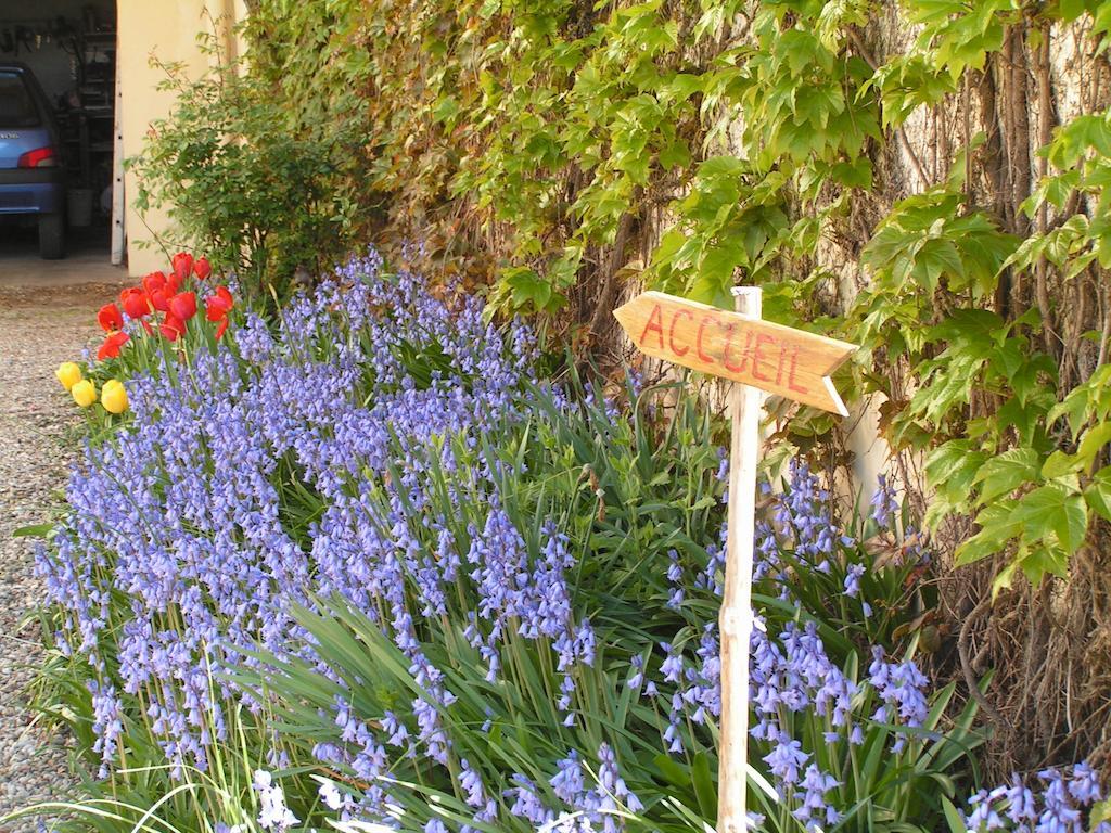 A L'Olivier Bed and Breakfast Montcaret Εξωτερικό φωτογραφία